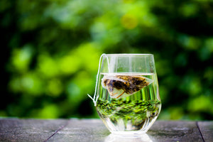 Tea bag in clear glass to symbolize quote attributed to Eleonor Roosevelt